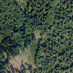 Satellite imagery of Höchst, DE