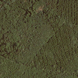 Satellite imagery of Scharberg, DE