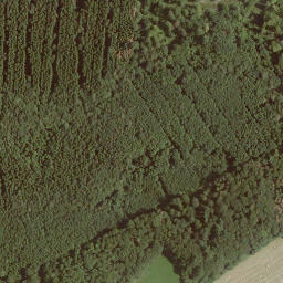 Satellite imagery of Scharberg, DE