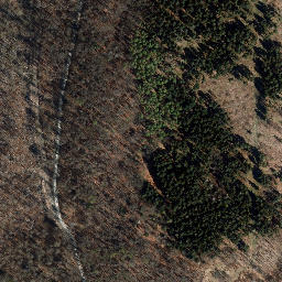 Satellite imagery of Spitzberg, DE