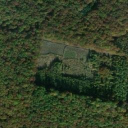 Satellite imagery of (Dub) [Slatiny-Milíčeves], CZ