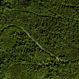 Satellite imagery of Kleiner Guckas, DE