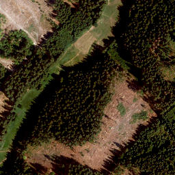 Satellite imagery of Rauschberg, DE