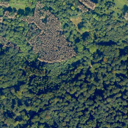 Satellite imagery of Einsiedler-Kopf, DE