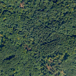 Satellite imagery of Selskopf, DE