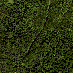Satellite imagery of Guckaspass, DE