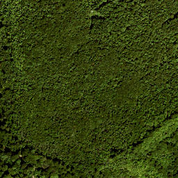 Satellite imagery of Guckaspass, DE