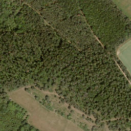 Satellite imagery of Wiesenberg, DE