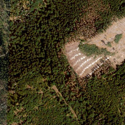 Satellite imagery of Steinberg, DE