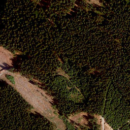 Satellite imagery of Rauschberg, DE