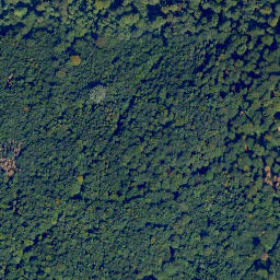 Satellite imagery of Einsiedler-Kopf, DE