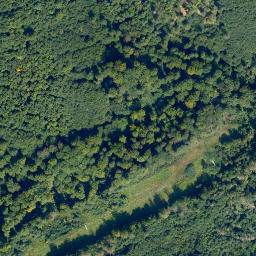 Satellite imagery of Selskopf, DE