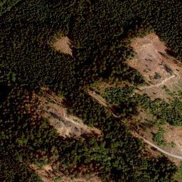 Satellite imagery of Rauschenberg, DE