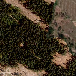 Satellite imagery of Rauschenberg, DE