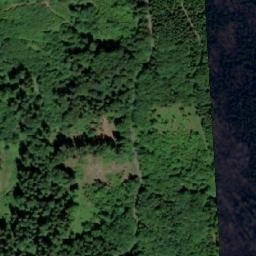 Satellite imagery of Ostružník [Olešnice v Orlických horách], CZ