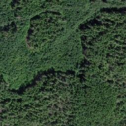 Satellite imagery of Bear Point, CA