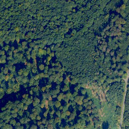 Satellite imagery of Einsiedler-Kopf, DE