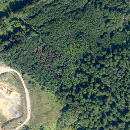 Satellite imagery of Selskopf, DE