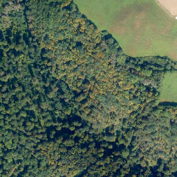 Satellite imagery of Selskopf, DE