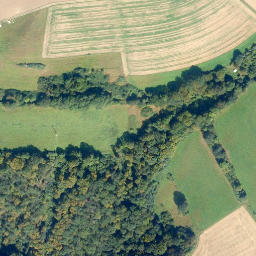 Satellite imagery of Selskopf, DE