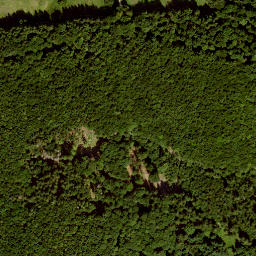 Satellite imagery of Lösershag, DE