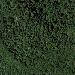 Satellite imagery of Eichelberg, DE