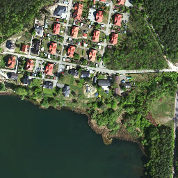 Satelita
