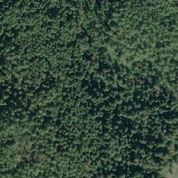 Satellite imagery of Wilson Point, CA