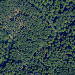 Satellite imagery of First, DE