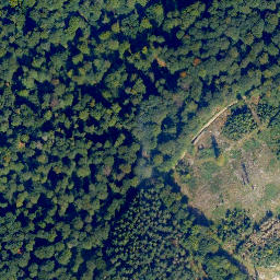 Satellite imagery of First, DE