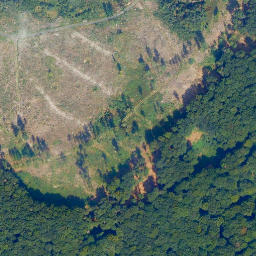 Satellite imagery of Spitzheckerrück, DE