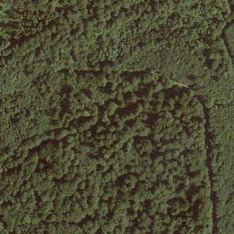 Satellite imagery of Hohestein, DE