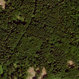 Satellite imagery of Lösershag, DE