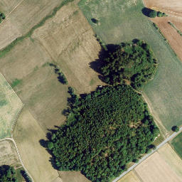 Satellite imagery of Erbsbühl, DE