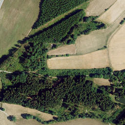 Satellite imagery of Erbsbühl, DE