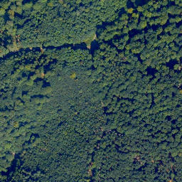 Satellite imagery of Häuschen, DE