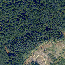 Satellite imagery of Häuschen, DE
