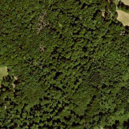 Satellite imagery of Lösershag, DE