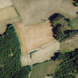 Satellite imagery of Erbsbühl, DE