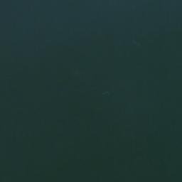 Satellite imagery of Suffolk Point, CA