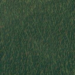 Satellite imagery of Vidler Ridge, CA