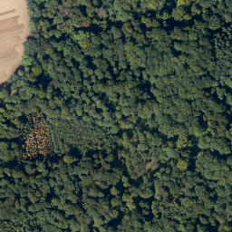 Satellite imagery of Stein-Kopf, DE