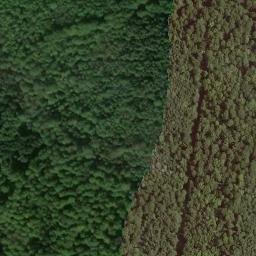 Satellite imagery of Hohestein, DE