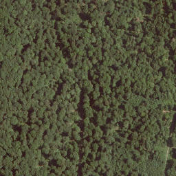 Satellite imagery of Hohestein, DE