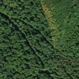 Satellite imagery of Großer Nickus, DE