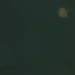 Satelita