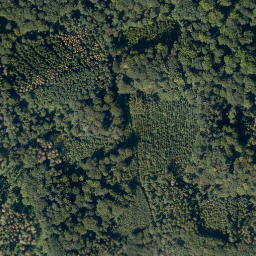 Satellite imagery of Stein-Kopf, DE