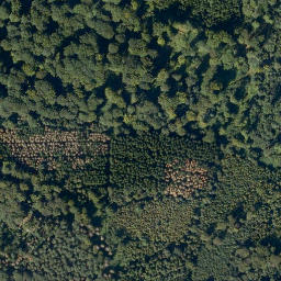 Satellite imagery of Stein-Kopf, DE