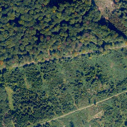 Satellite imagery of Lohberg, DE