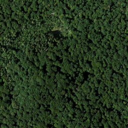 Satellite imagery of Straufhain, DE